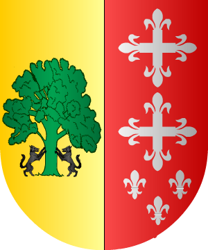 ESCUDO ALEATORIO