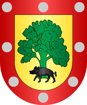 ESCUDO ALEATORIO