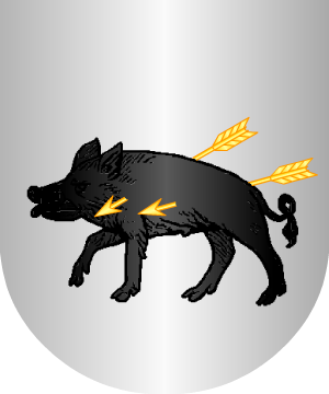 ESCUDO SIGUIENTE
