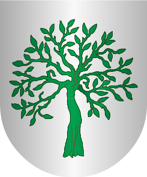 ESCUDO SIGUIENTE