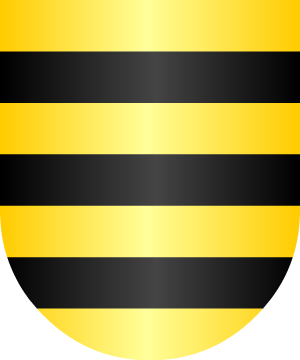 ESCUDO SIGUIENTE