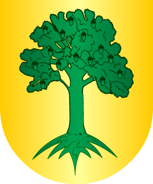 ESCUDO SIGUIENTE