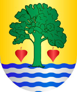 ESCUDO ALEATORIO