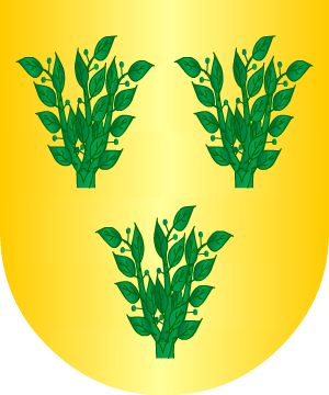 ESCUDO ALEATORIO