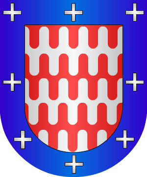 ESCUDO ALEATORIO