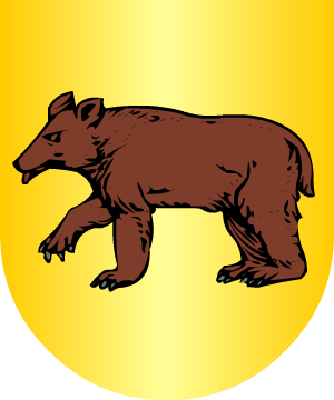 ESCUDO ALEATORIO