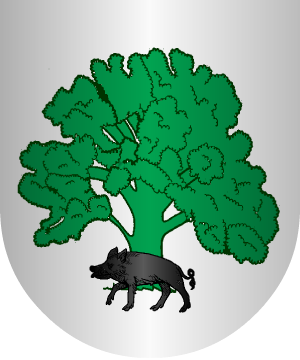 ESCUDO ALEATORIO