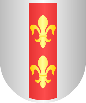 ESCUDO SIGUIENTE
