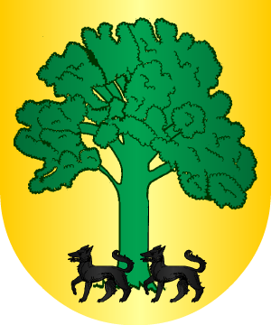 ESCUDO ALEATORIO