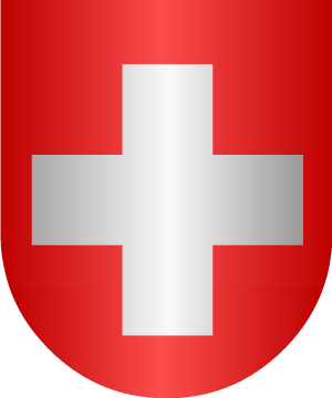 ESCUDO SIGUIENTE
