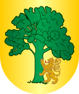 ESCUDO SIGUIENTE