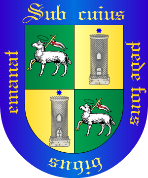 ESCUDO SIGUIENTE