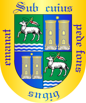 ESCUDO SIGUIENTE