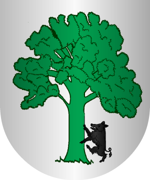 ESCUDO ALEATORIO