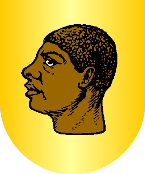ESCUDO ALEATORIO