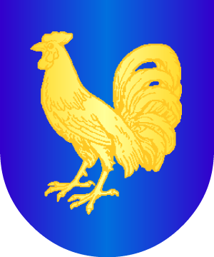 ESCUDO SIGUIENTE