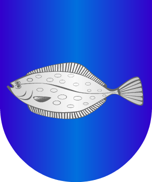 ESCUDO ALEATORIO