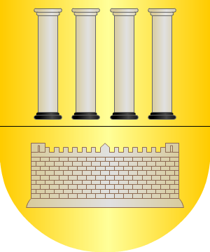 ESCUDO ALEATORIO