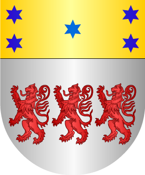ESCUDO SIGUIENTE