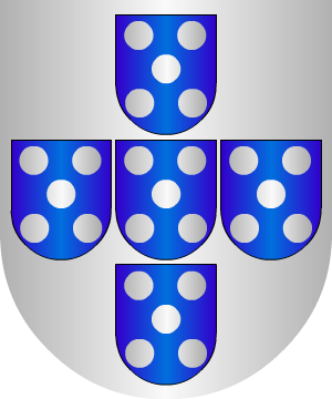ESCUDO ALEATORIO