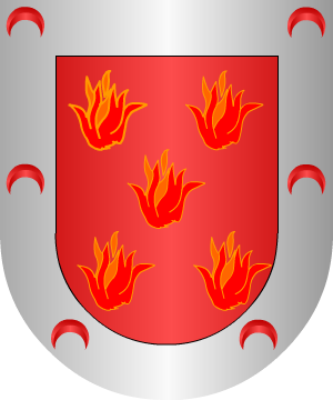 ESCUDO ALEATORIO