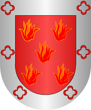 ESCUDO SIGUIENTE
