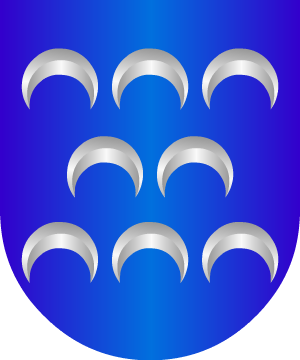 ESCUDO ALEATORIO