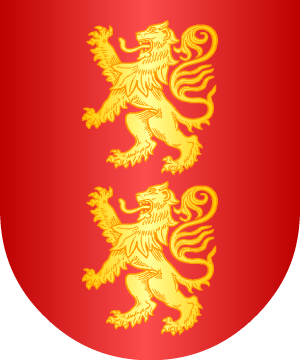 ESCUDO SIGUIENTE