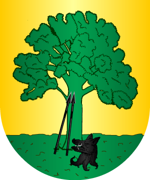 ESCUDO SIGUIENTE