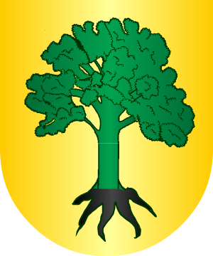 ESCUDO PRECEDENTE