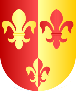 ESCUDO ALEATORIO