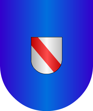 ESCUDO ALEATORIO