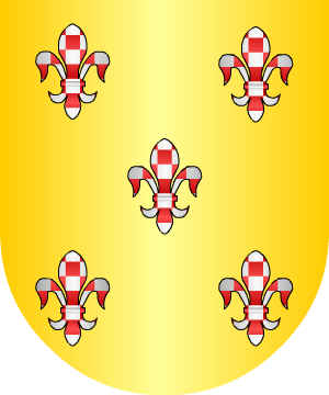 ESCUDO SIGUIENTE