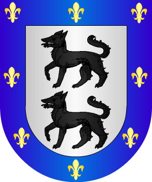 ESCUDO ALEATORIO