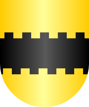 ESCUDO ALEATORIO