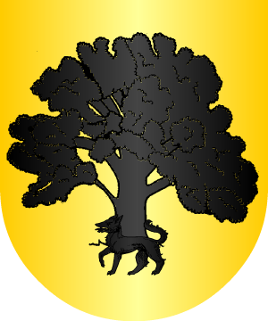 ESCUDO SIGUIENTE