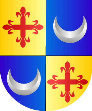 ESCUDO SIGUIENTE