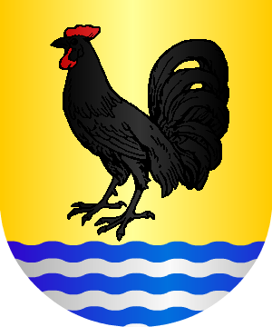 ESCUDO ALEATORIO