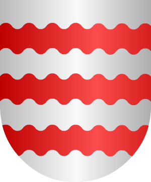 ESCUDO ALEATORIO