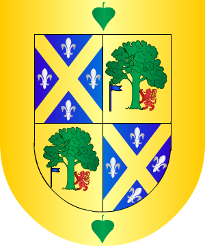 ESCUDO SIGUIENTE