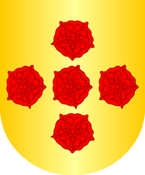 ESCUDO ALEATORIO