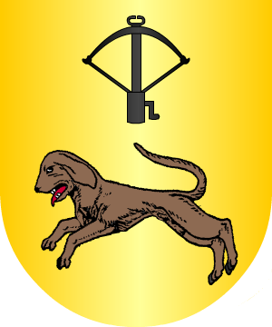 ESCUDO ALEATORIO