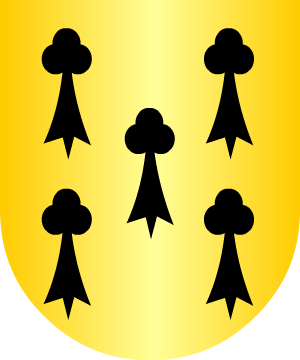 ESCUDO SIGUIENTE