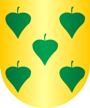 ESCUDO SIGUIENTE