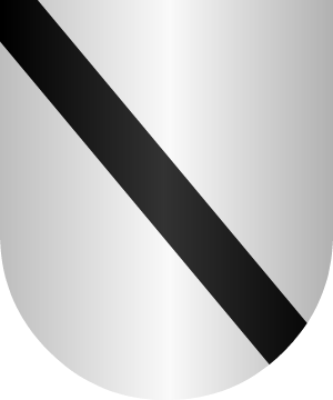 ESCUDO ALEATORIO