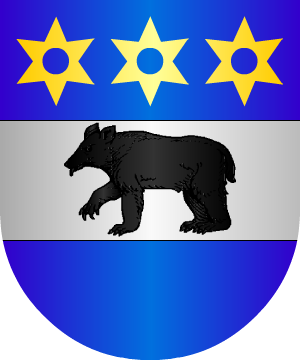 ESCUDO SIGUIENTE