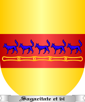 ESCUDO SIGUIENTE
