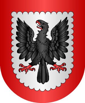 ESCUDO ALEATORIO