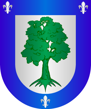 ESCUDO ALEATORIO