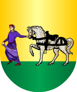 ESCUDO ALEATORIO